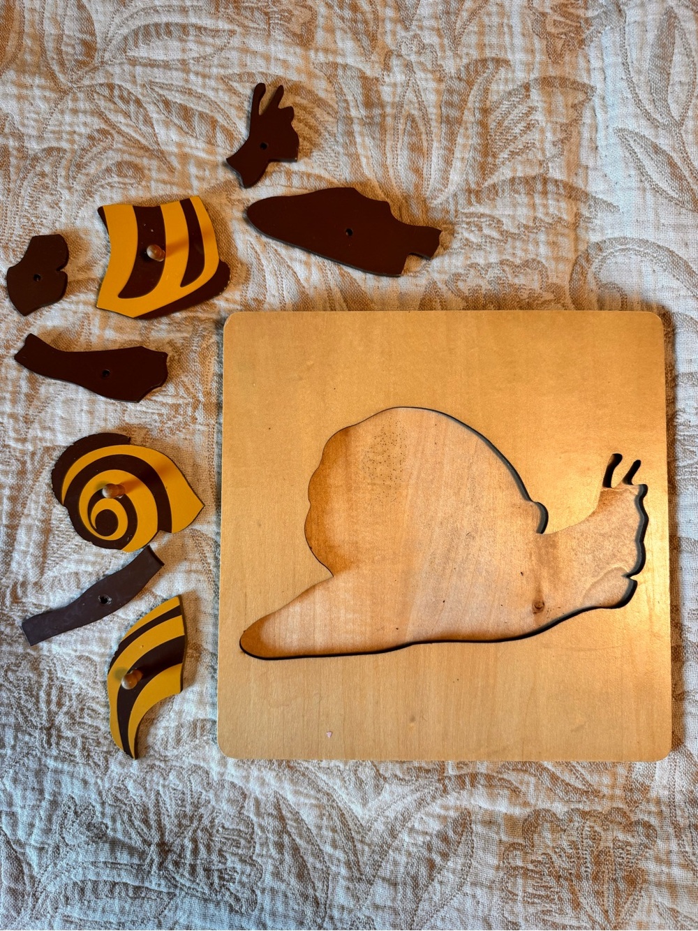 Wooden Snail Anatomy Puzzle | Montessori Educational Toy